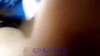 კინკი წიწილა ელვირა  ...
