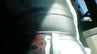 მადისაღმძვრელი ბიუსტ ...